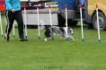 /album/fotogallerij/gorinhem-05-05-22-jpg/